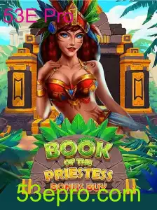 Explorando BookOfThePriestess 53E Pro: Um Mergulho no Universo de Aventuras e Estratégia